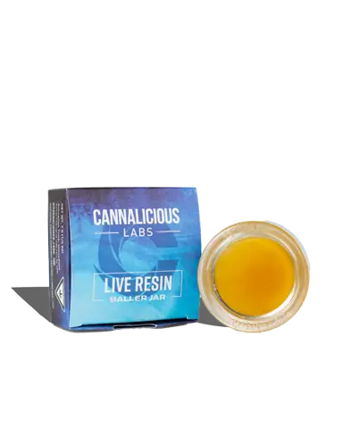 garlic mints Cannalicious Live Resin 7G